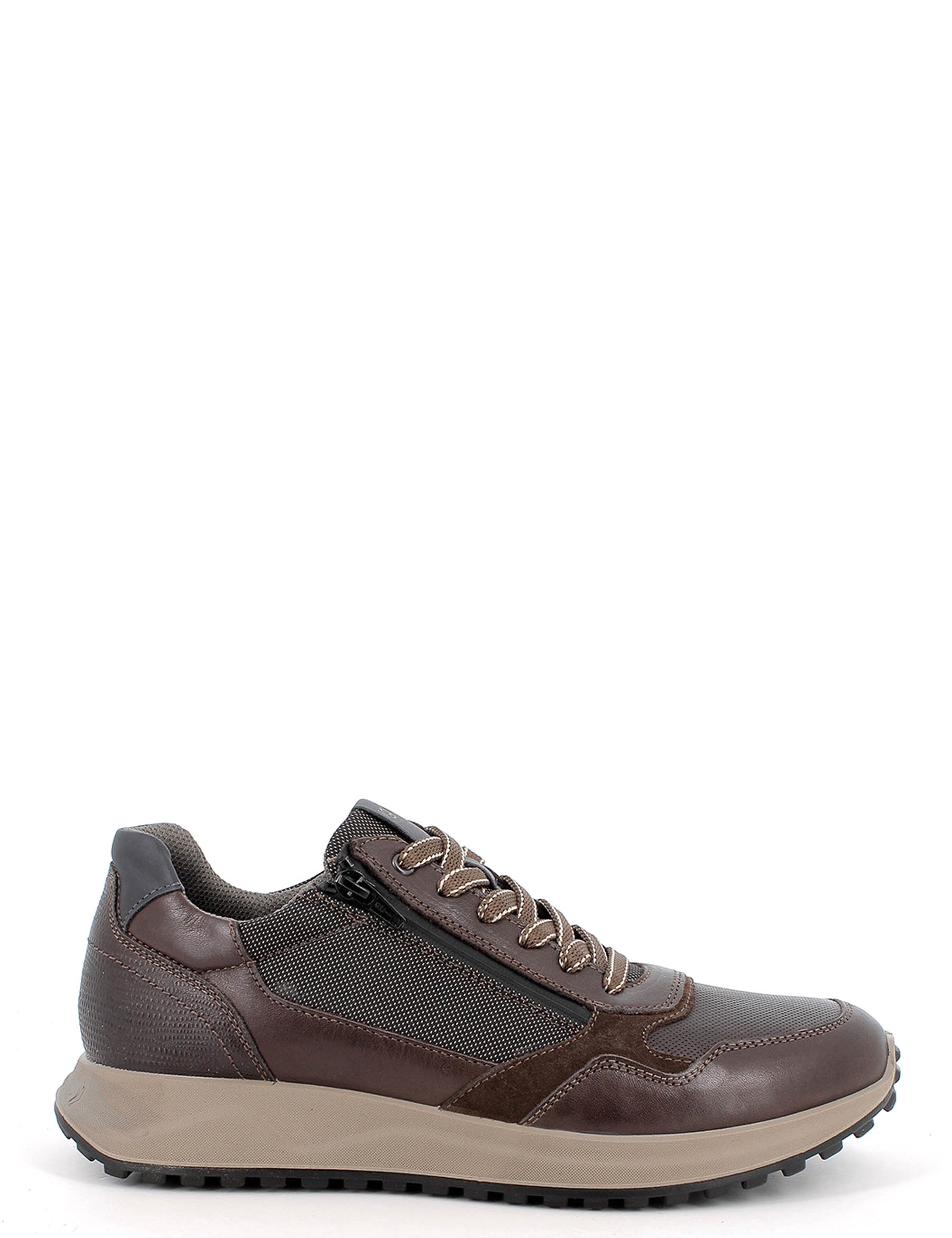 Sneakers Marrone Igi&co