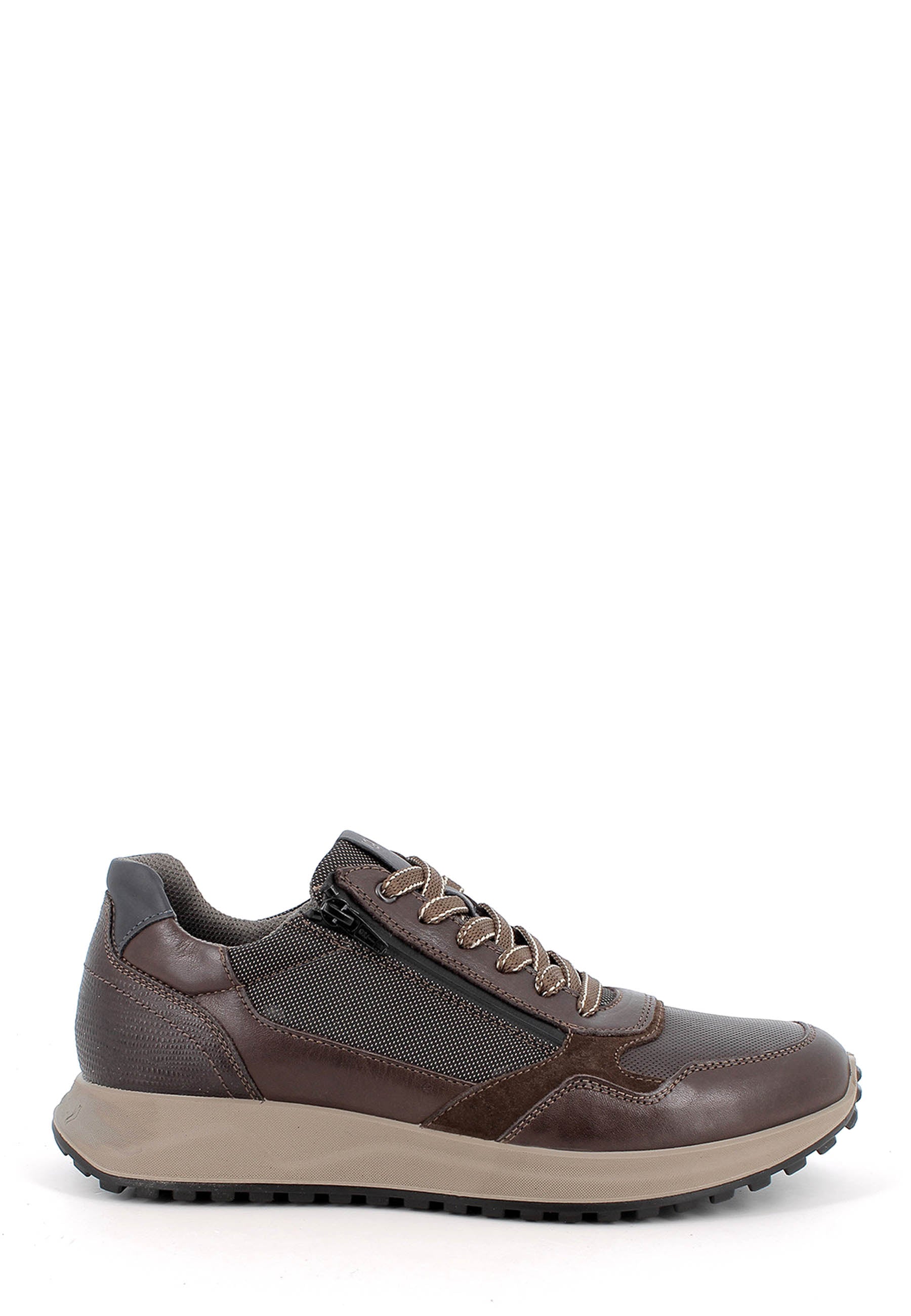 Sneakers Marrone Igi&co