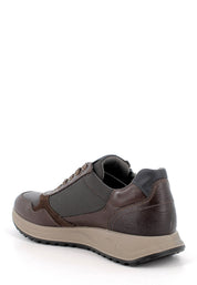 Sneakers Marrone Igi&co
