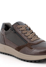 Sneakers Marrone Igi&co