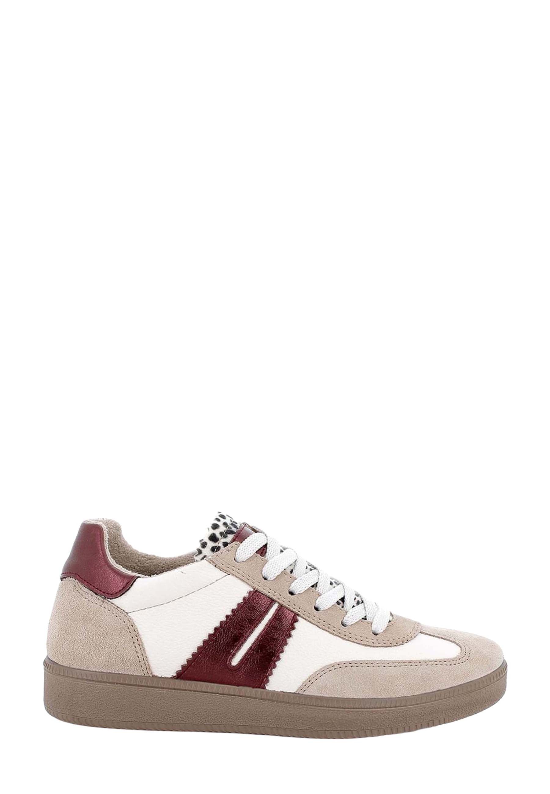 Sneakers Beige Igi&co