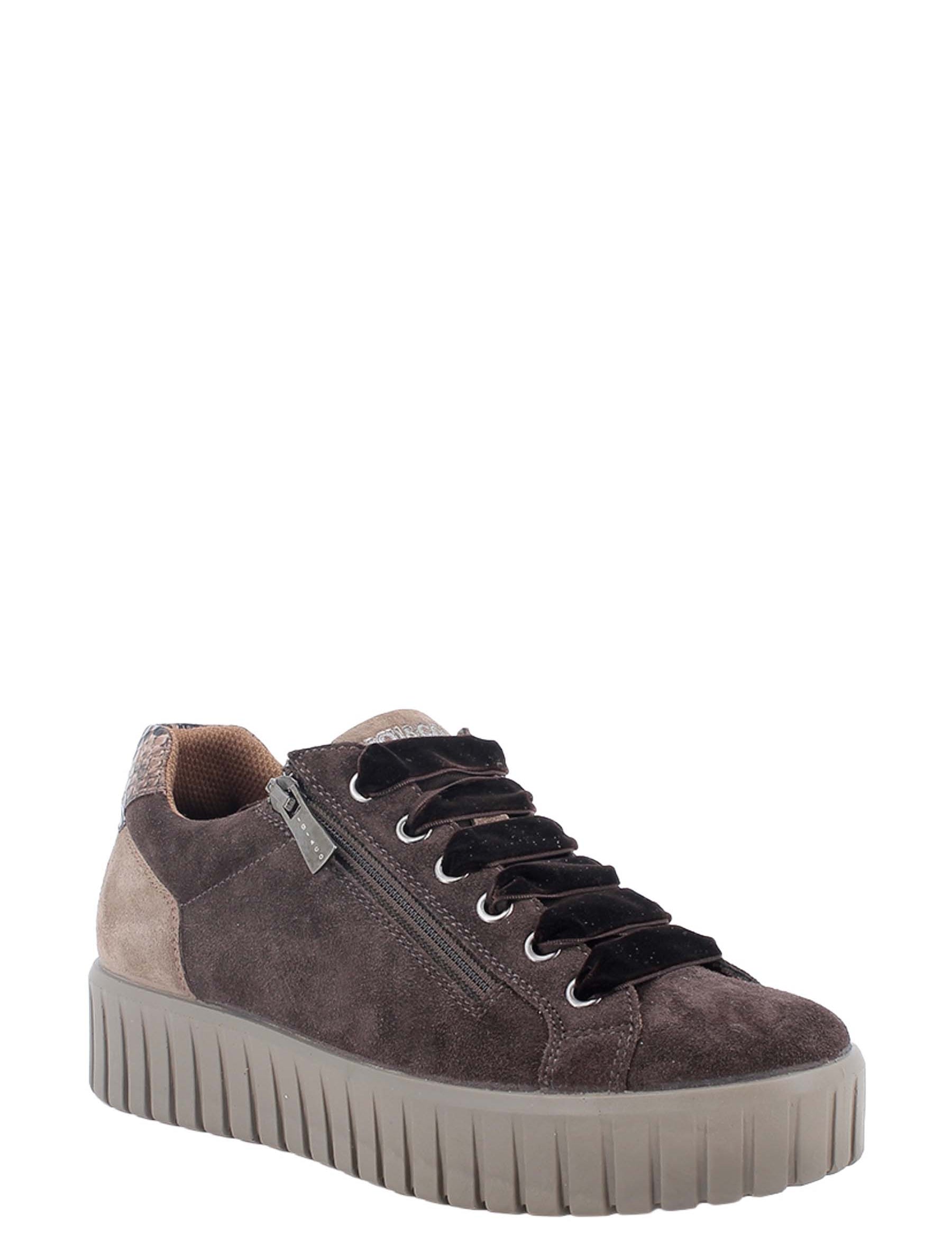 Sneakers Marrone Igi&co