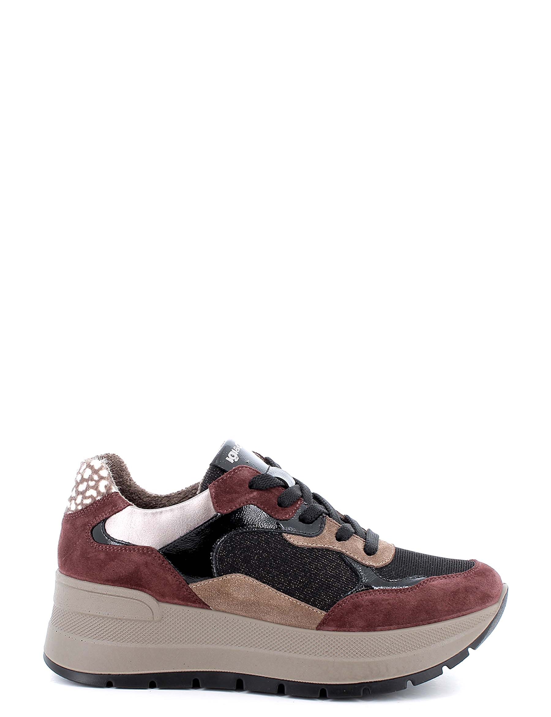 Sneakers Bordeaux Igi&co