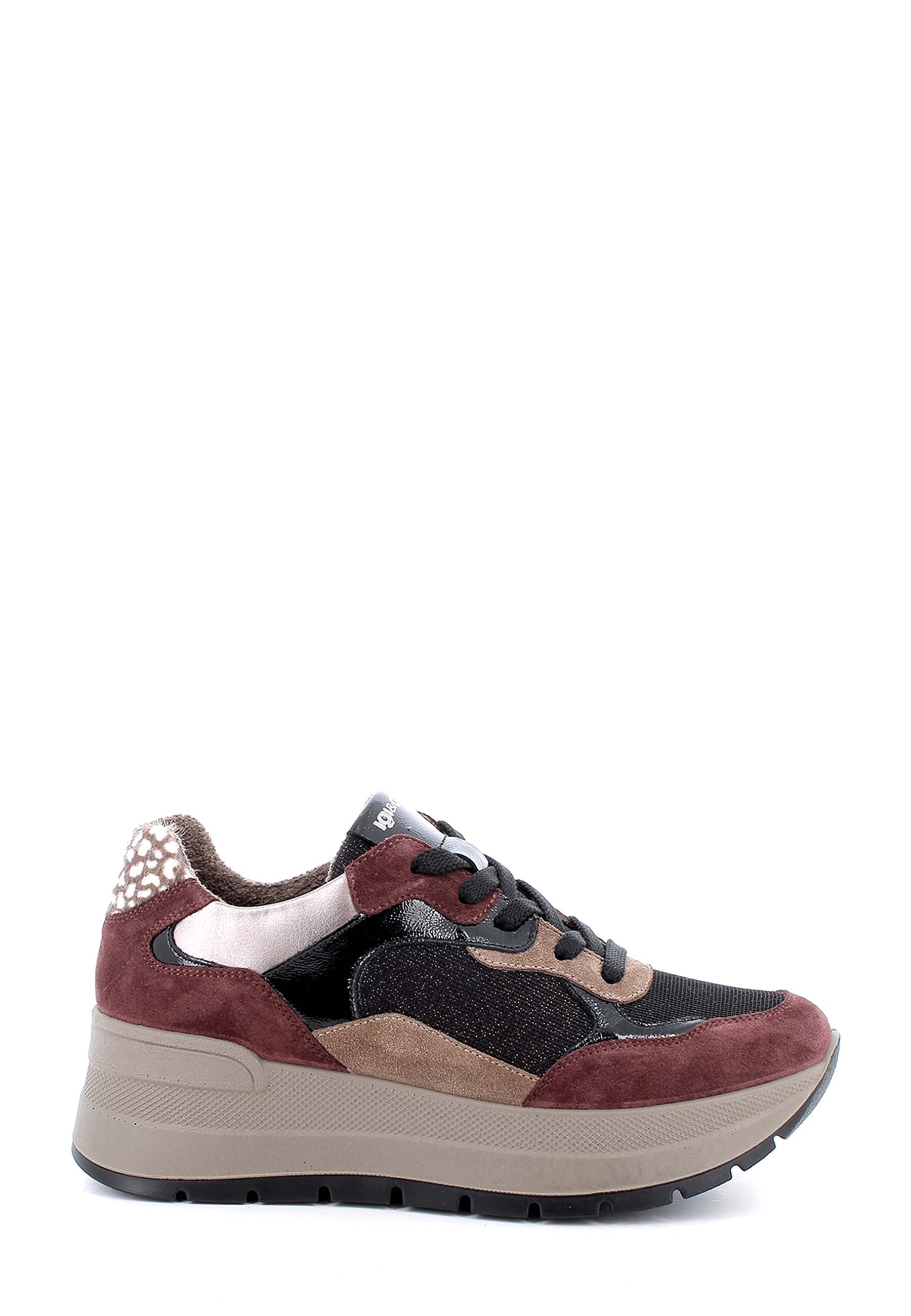 Sneakers Bordeaux Igi&co
