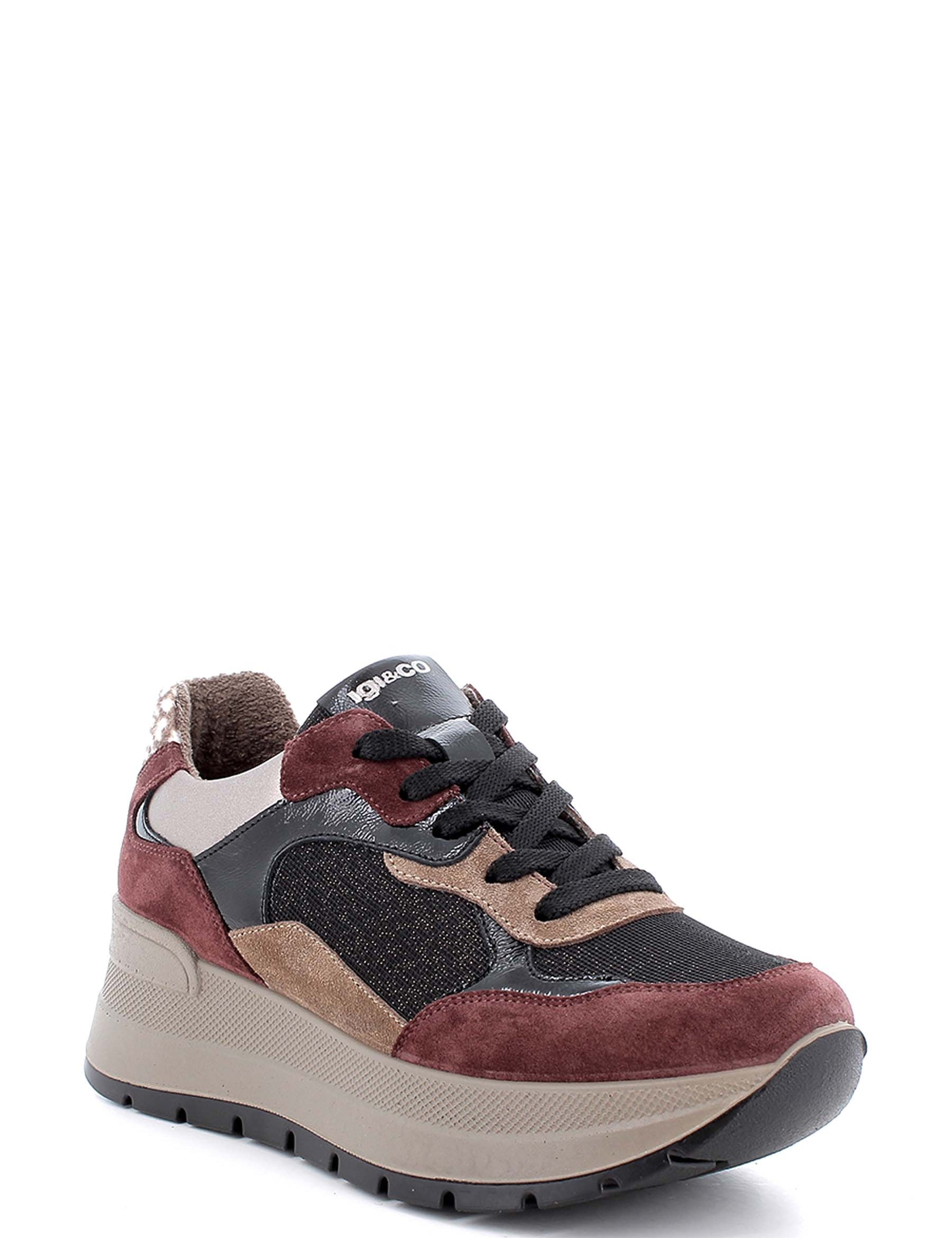 Sneakers Bordeaux Igi&co