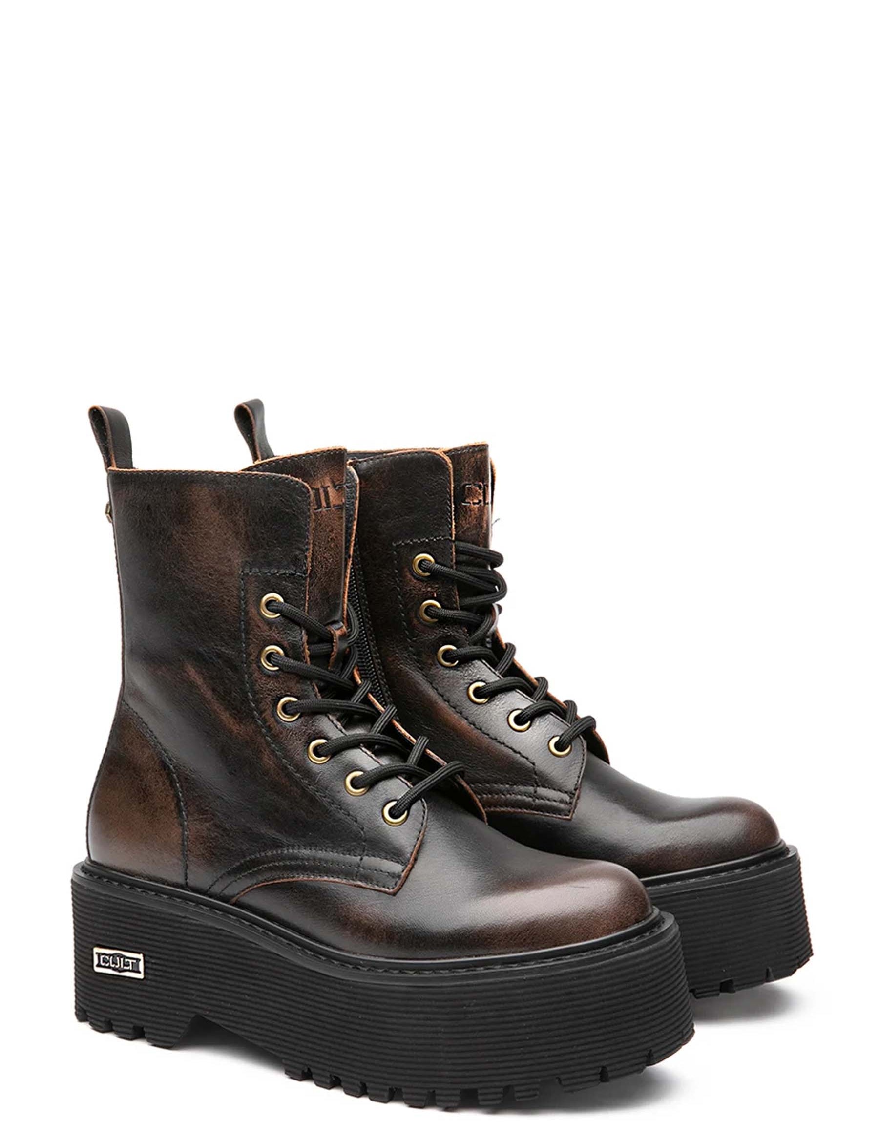 Anfibi Marrone Cult