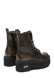 Anfibi Marrone Cult