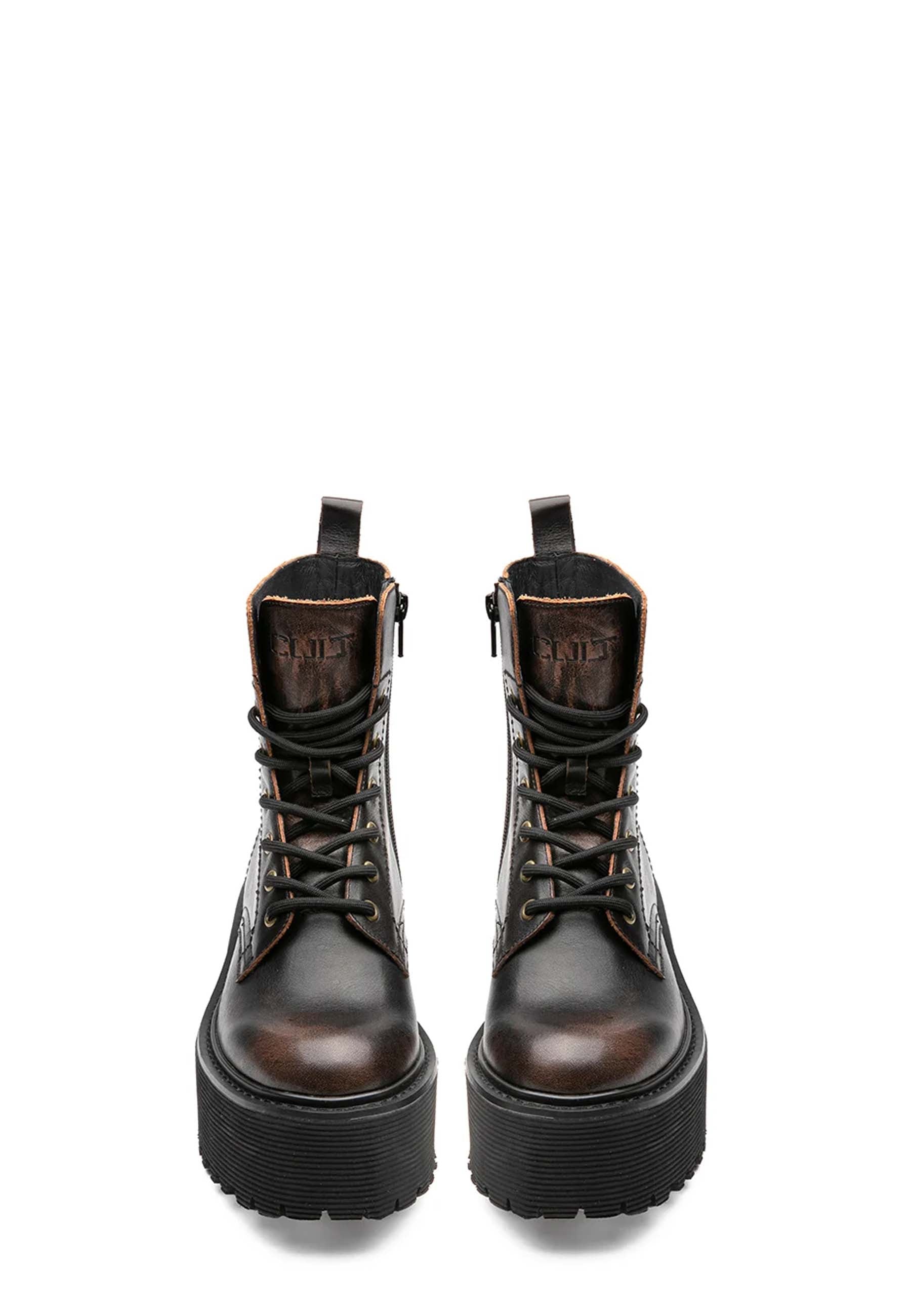 Anfibi Marrone Cult