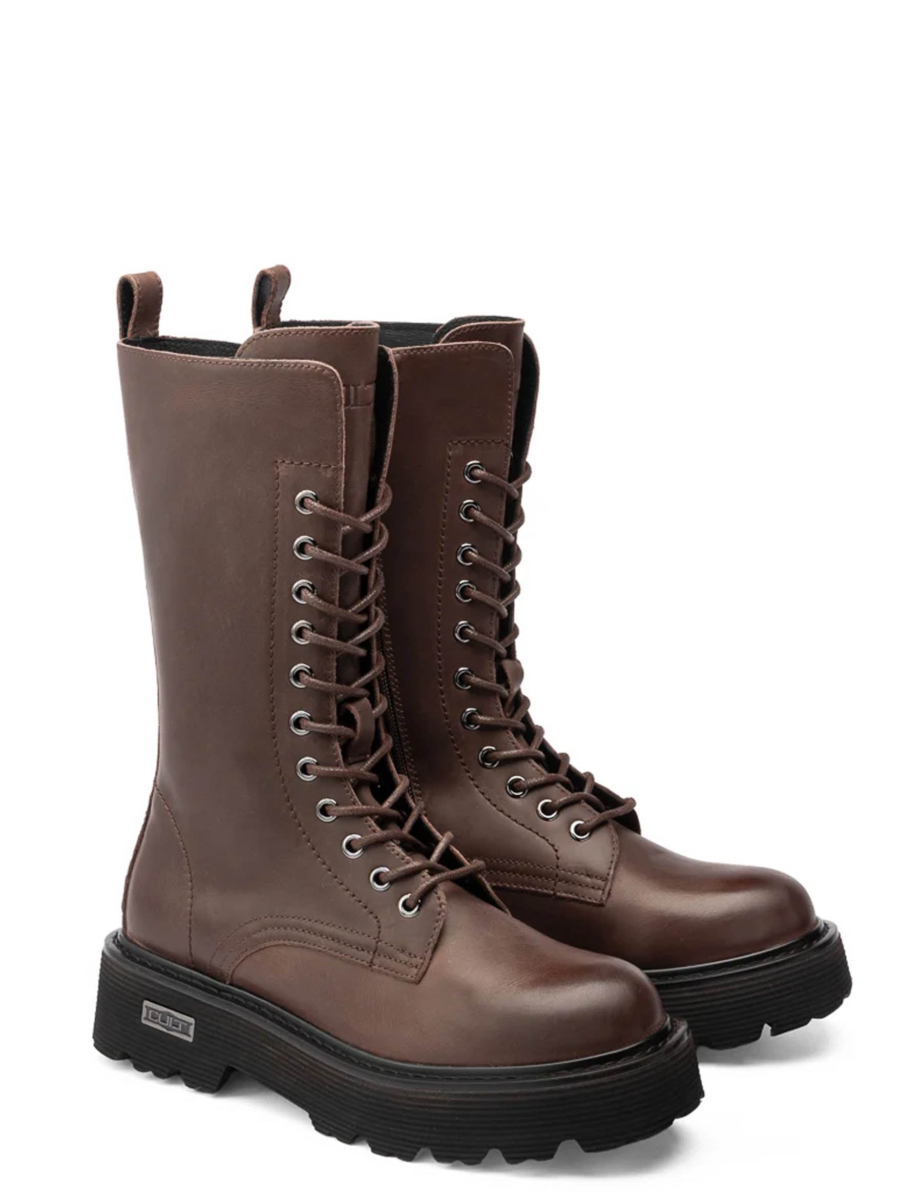 Anfibi Marrone Cult