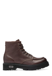 Anfibi Marrone Cult