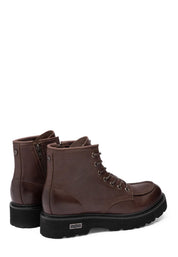 Anfibi Marrone Cult