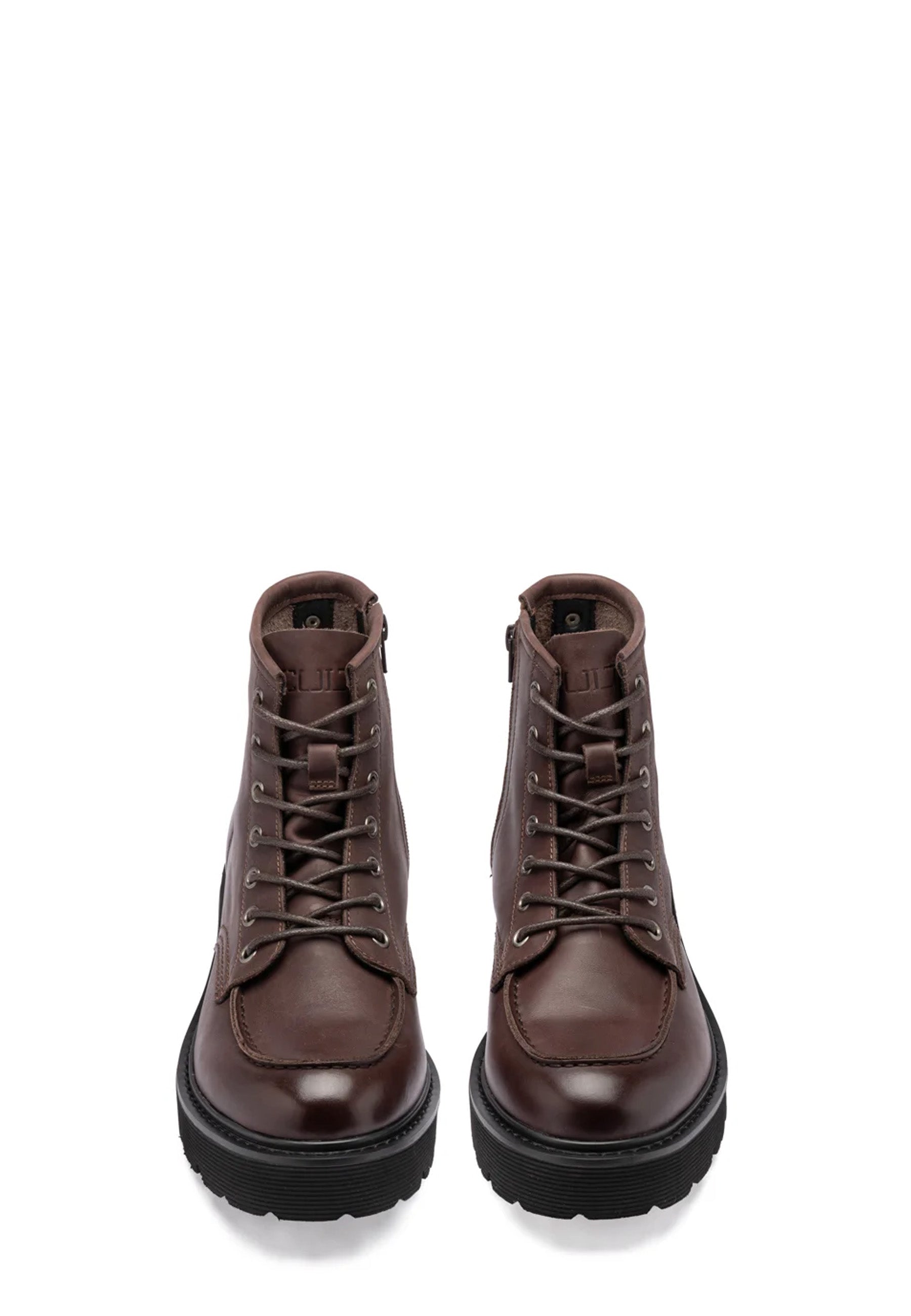 Anfibi Marrone Cult