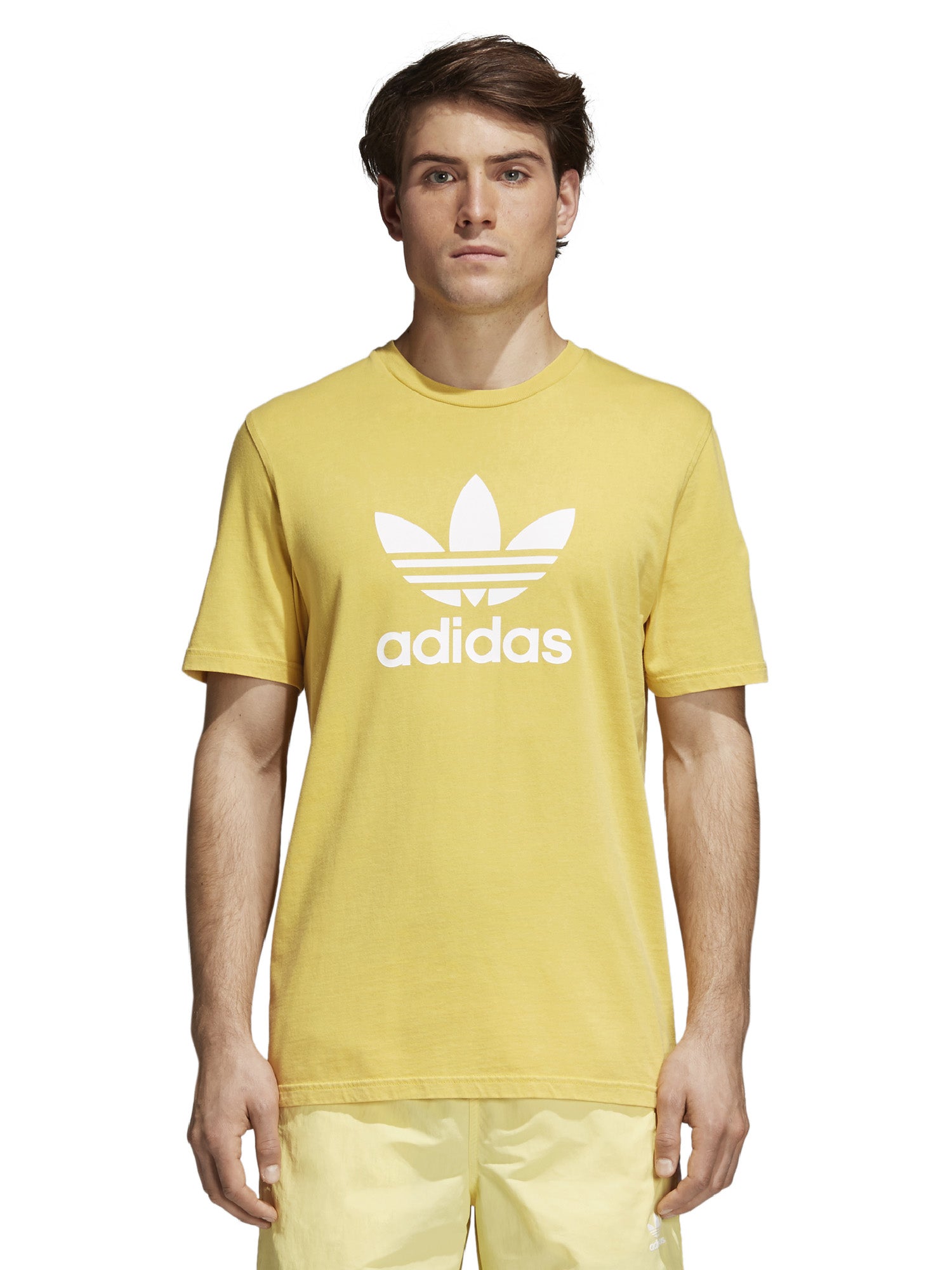 Adidas Originals T-shirt Uomo | CW0706