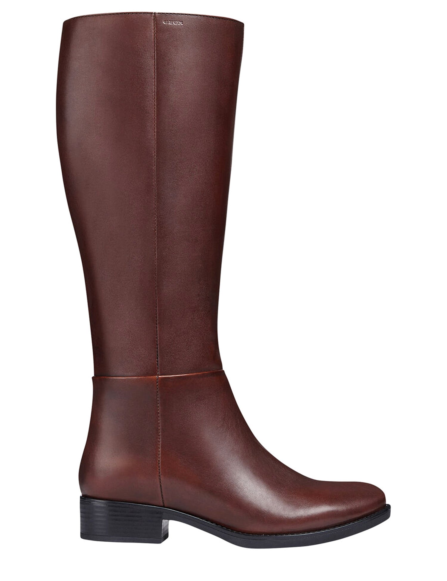 Stivali Marrone Geox