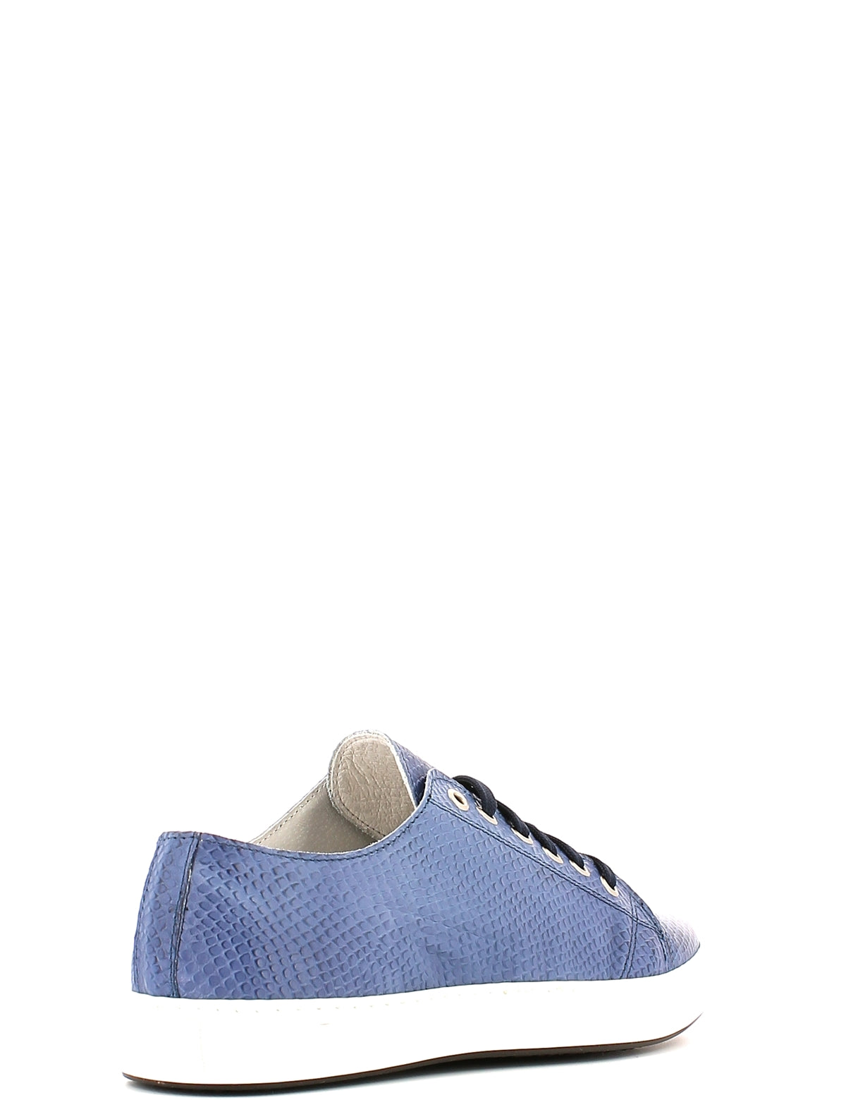 Sneakers Blu Rogers
