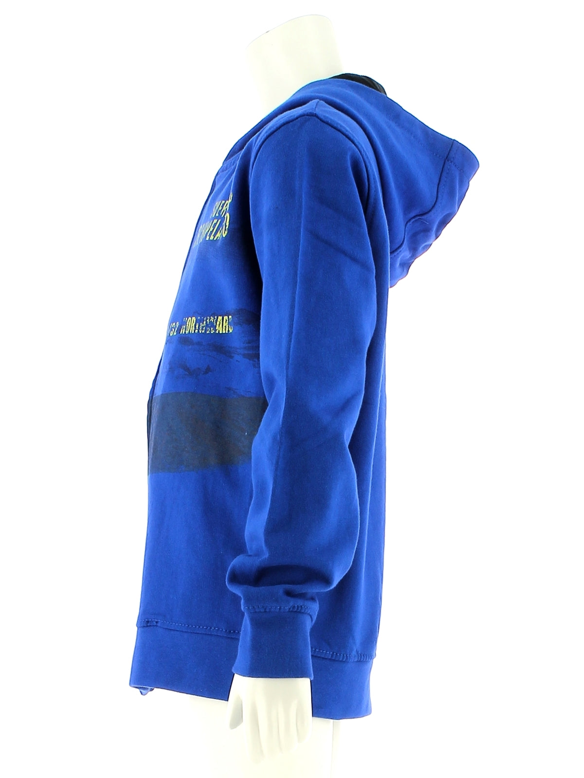 Felpe Blu Losan