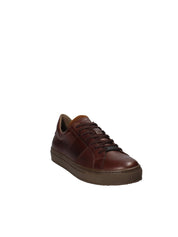 Sneakers Marrone Ambitious