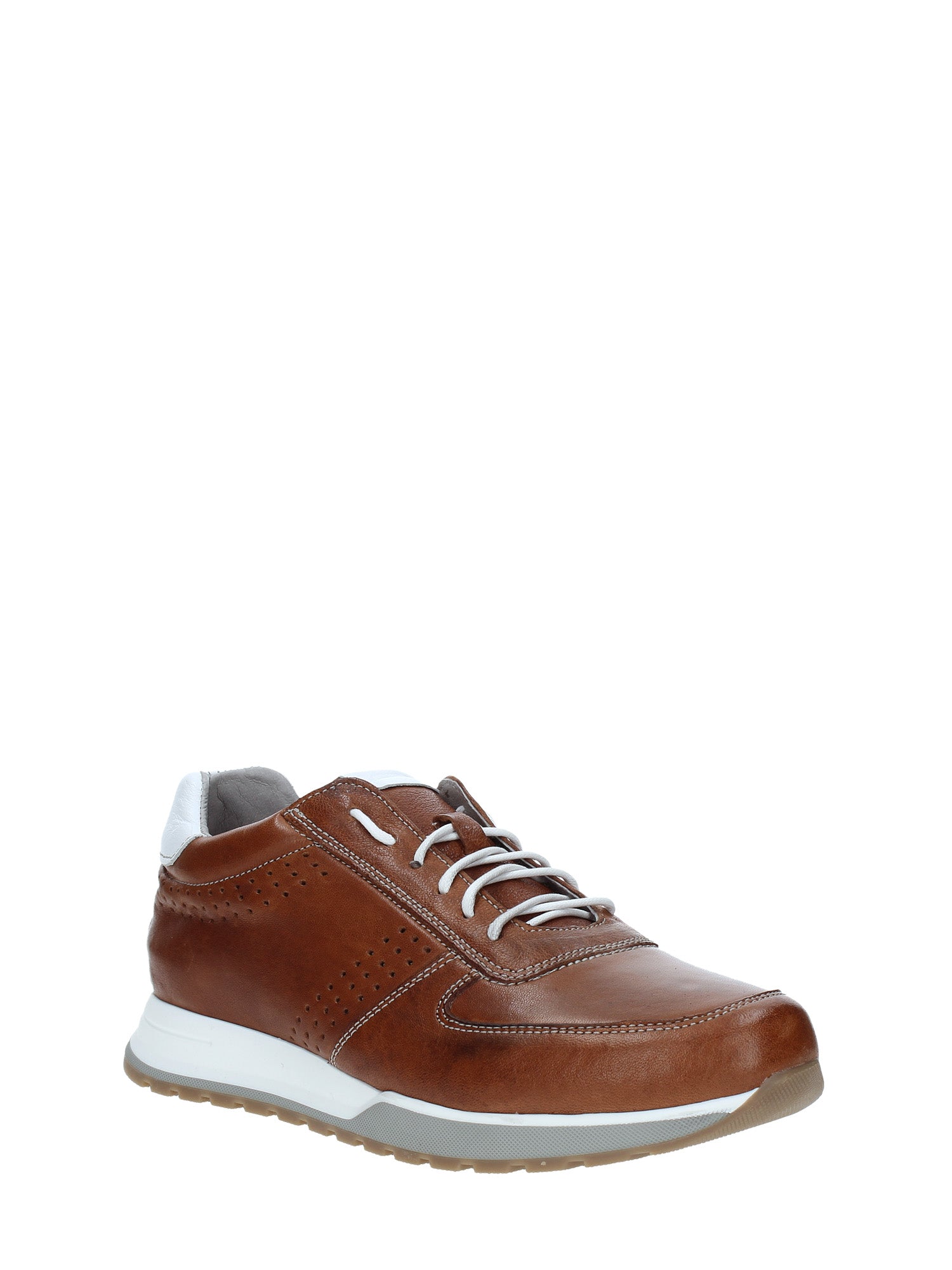 Sneakers Marrone Rogers