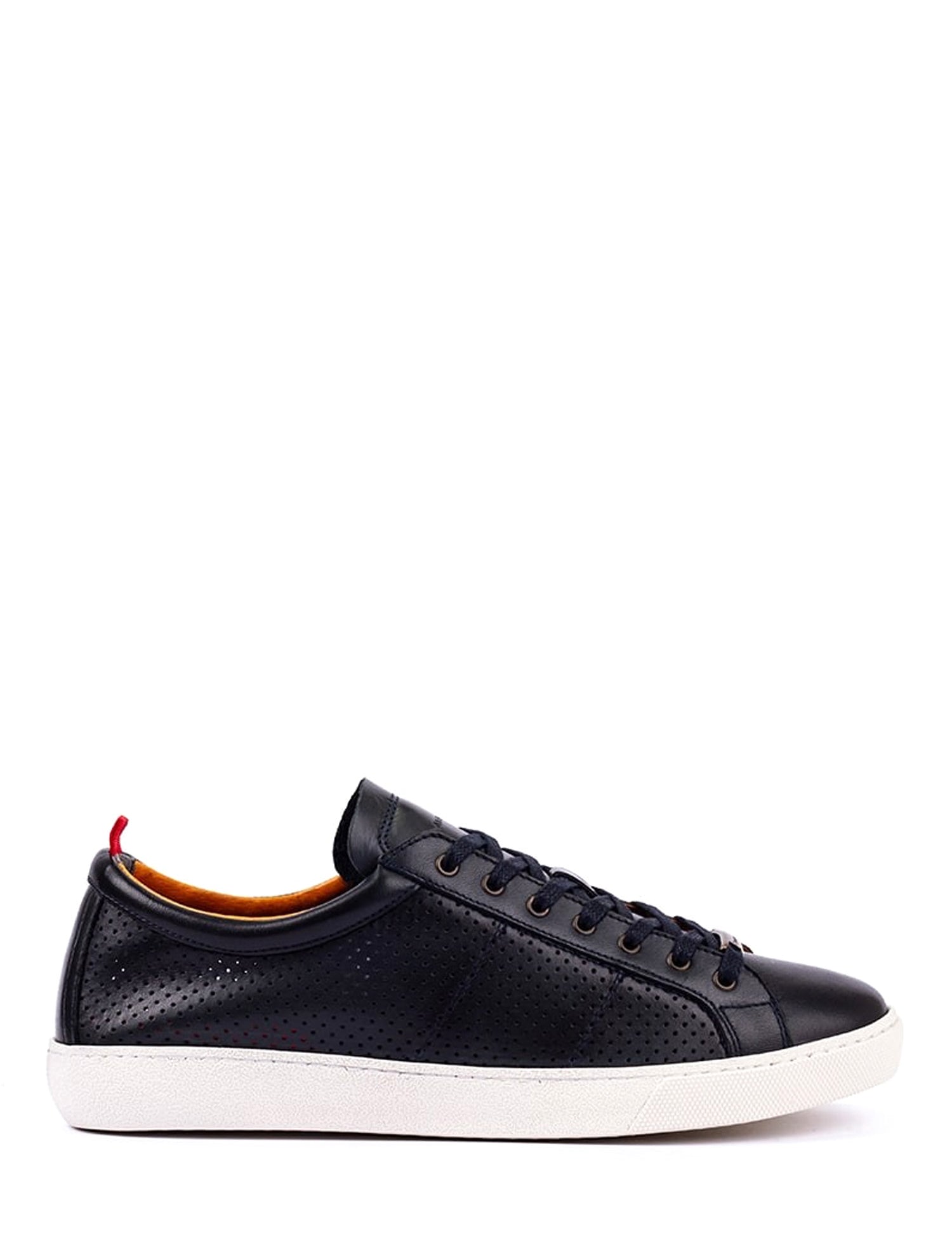 Sneakers Blu Ambitious