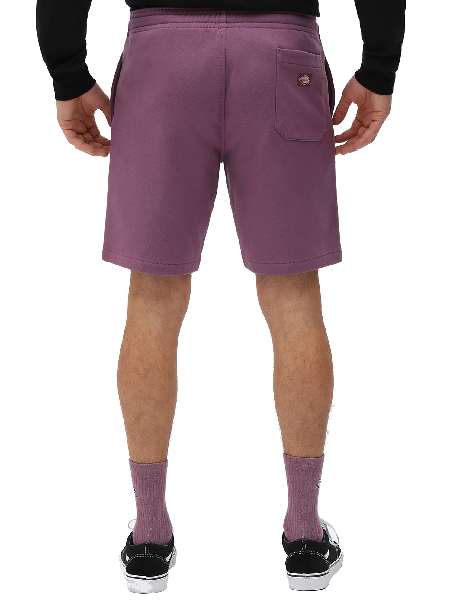 Bermuda Viola Dickies