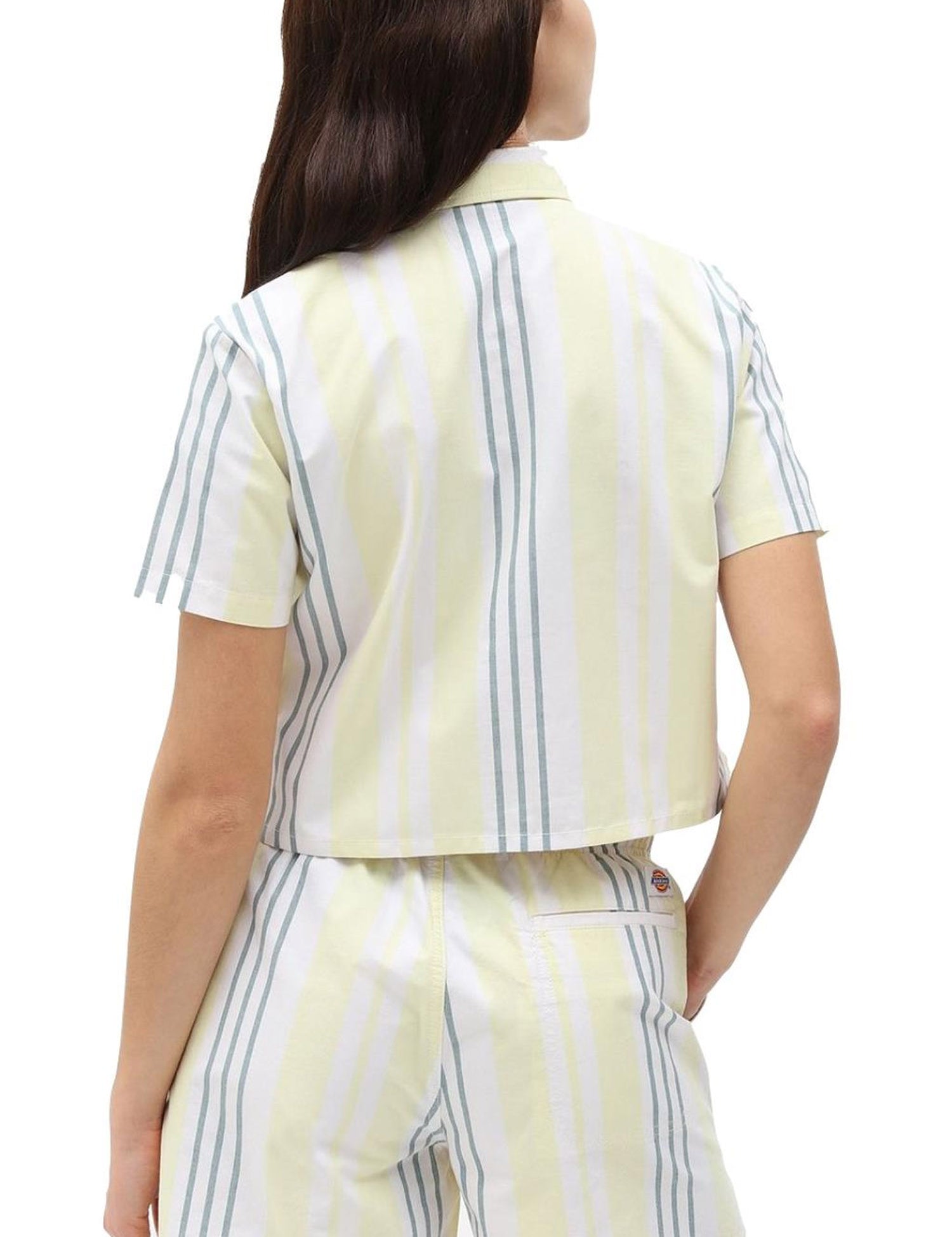 Camicie Giallo Dickies