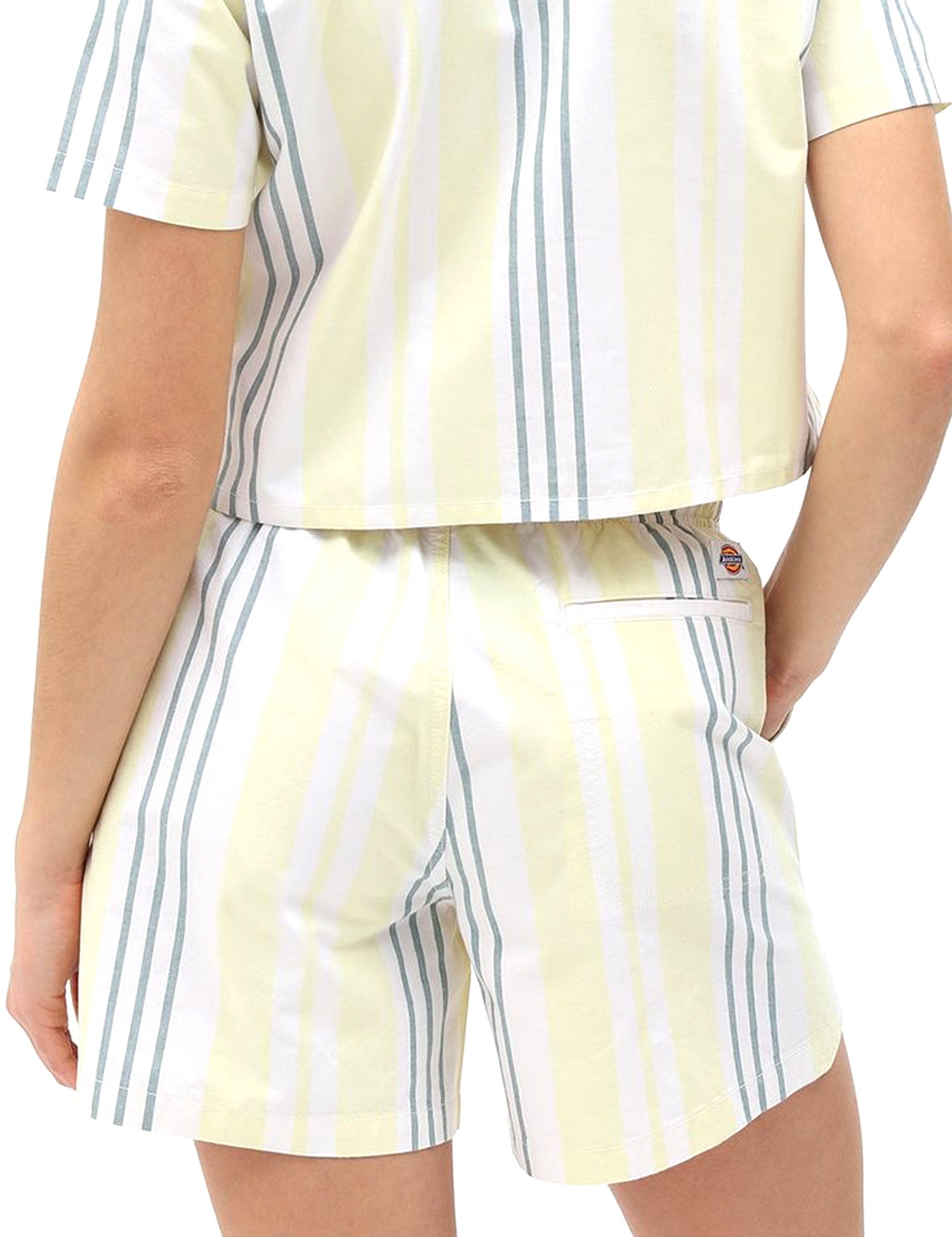 Shorts Giallo Dickies