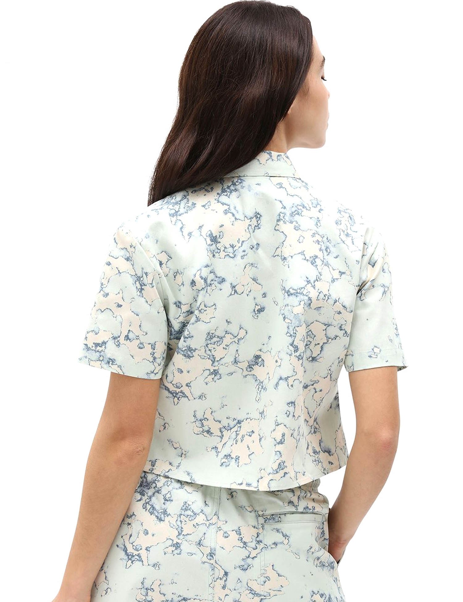 Camicie Blu Dickies