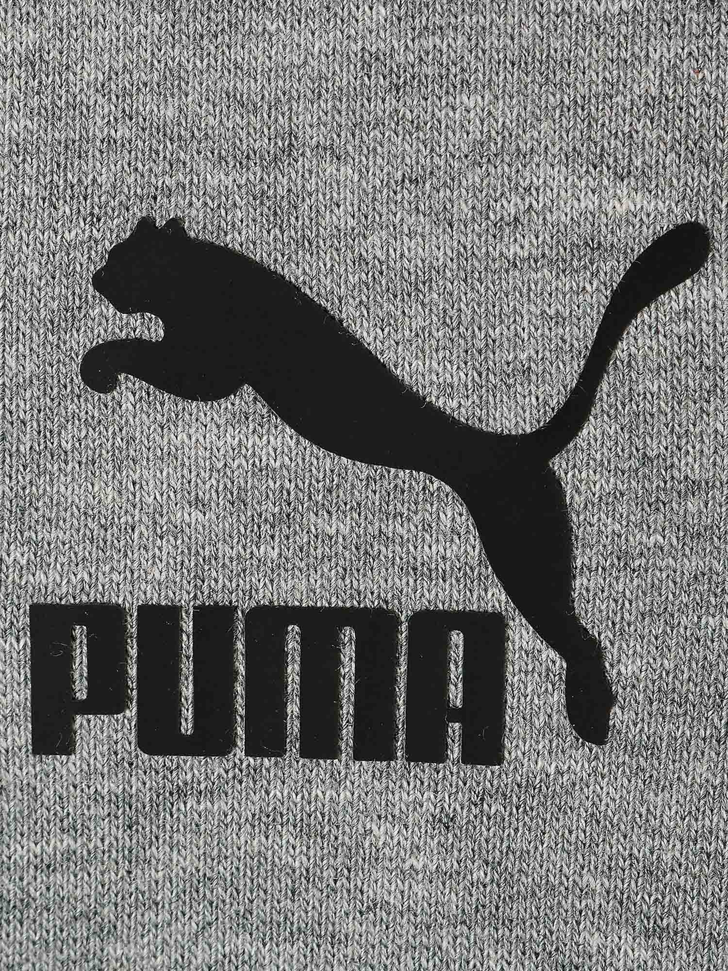 Felpe Grigio Puma