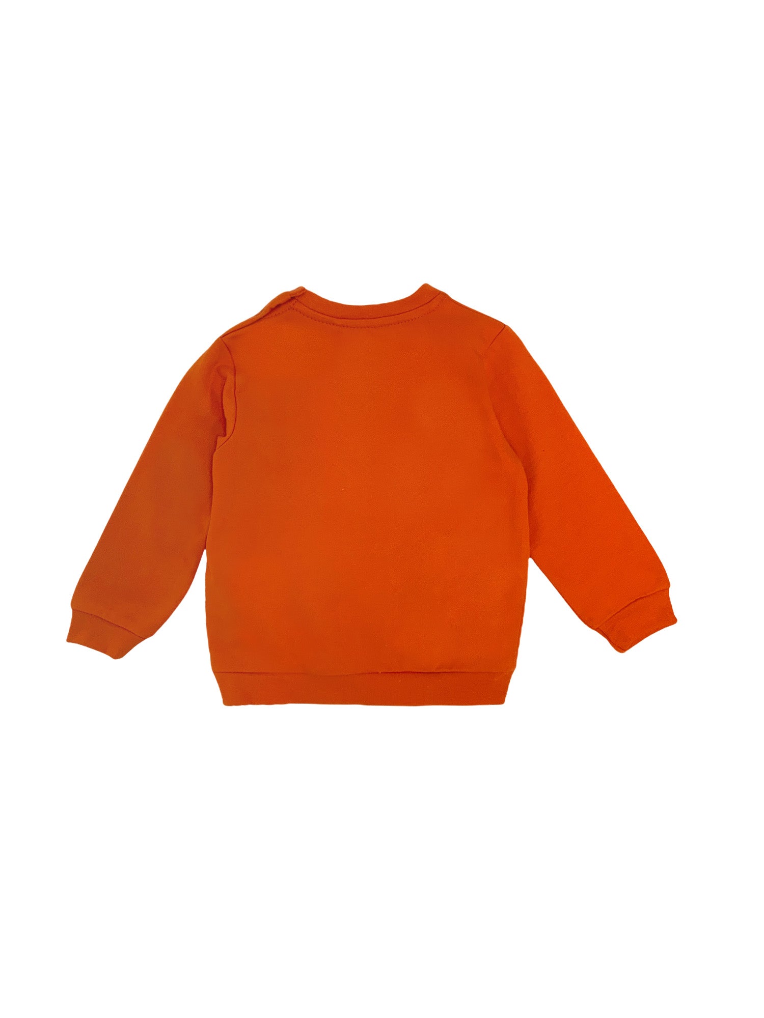 Felpe Arancio Losan