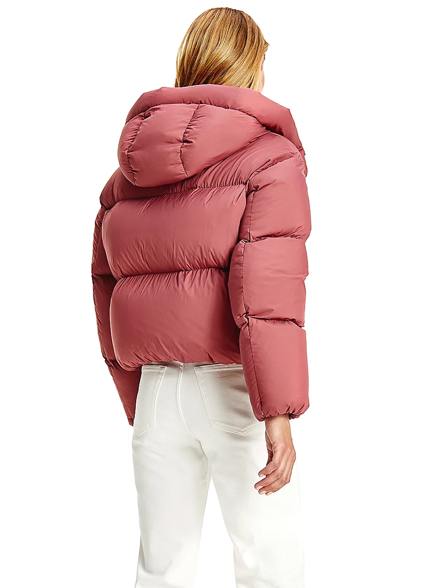 Piumini Rosa Tommy Hilfiger