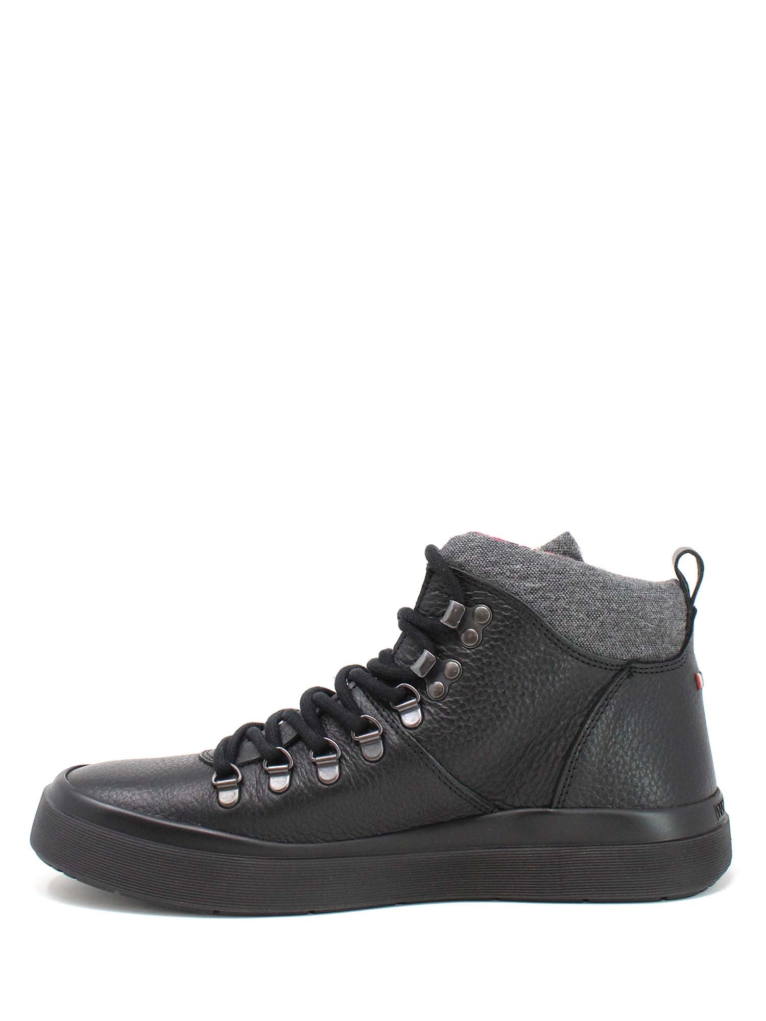 Sneakers Nero Napapijri