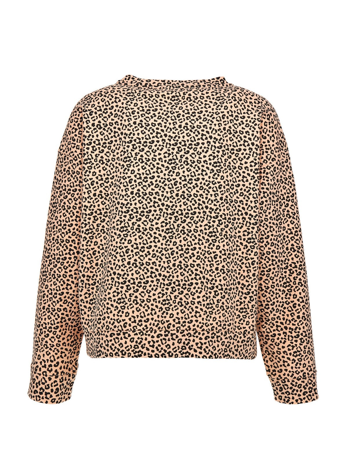 Felpe Beige Freddy