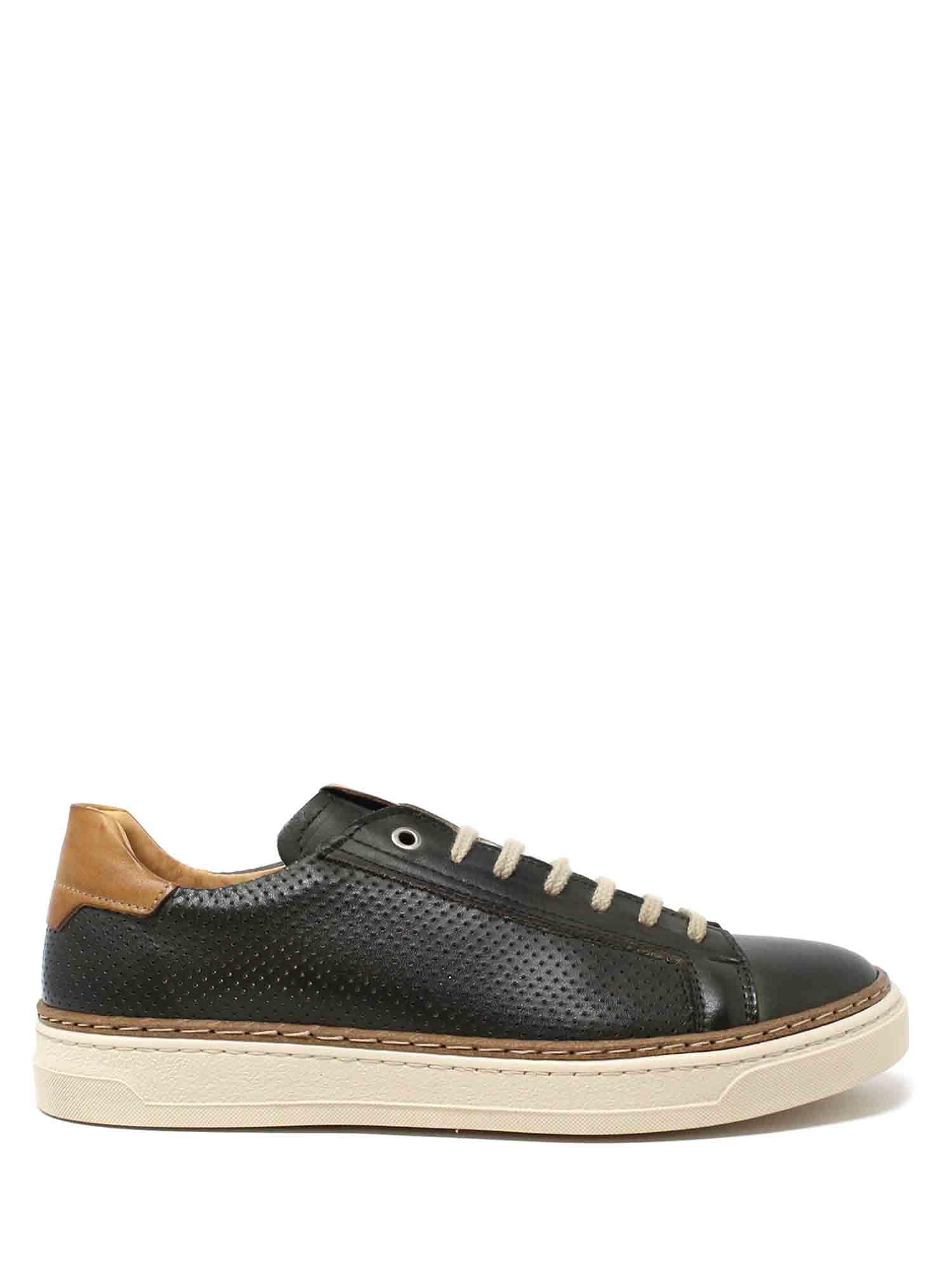 Sneakers Verde Exton