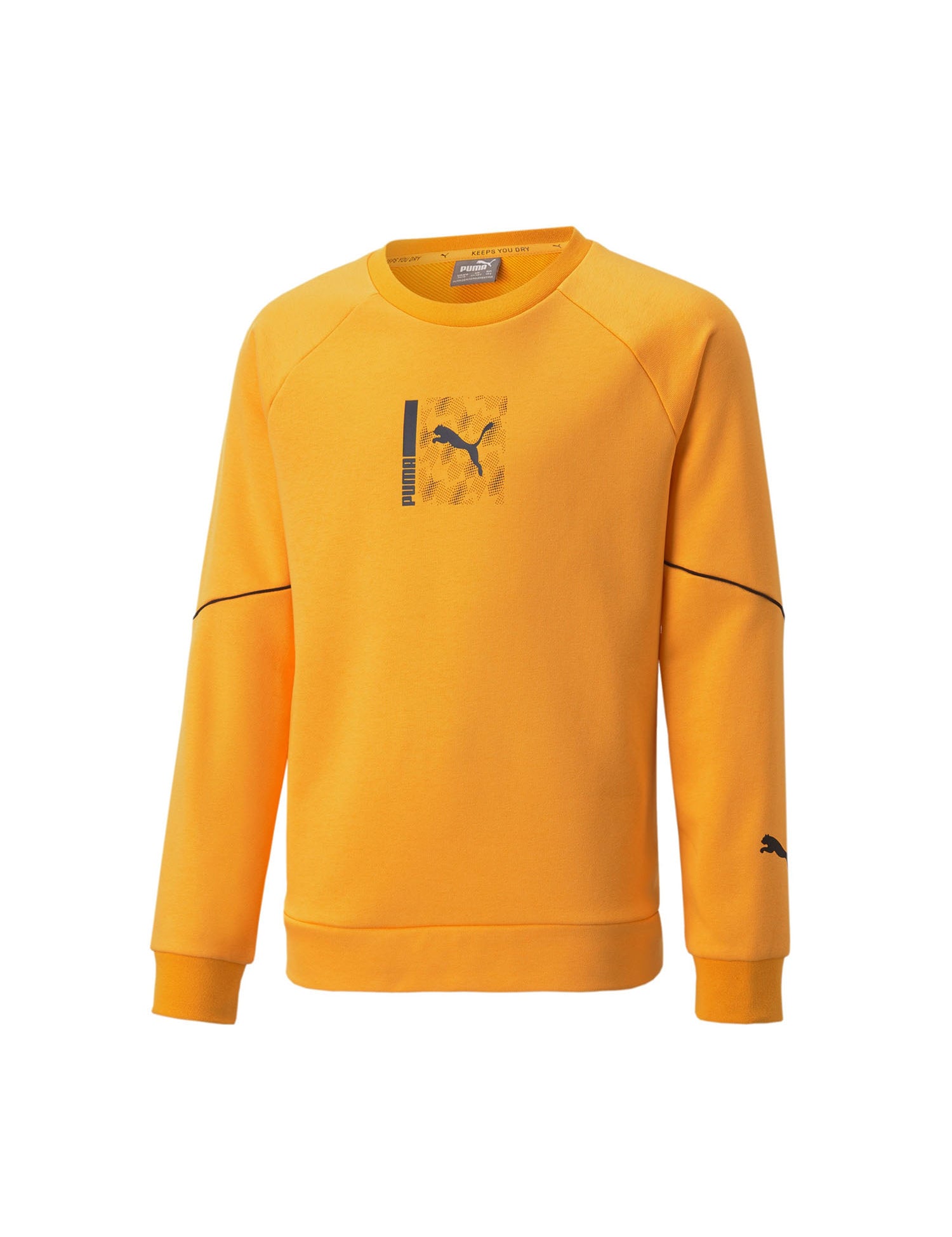 Felpe Giallo Puma