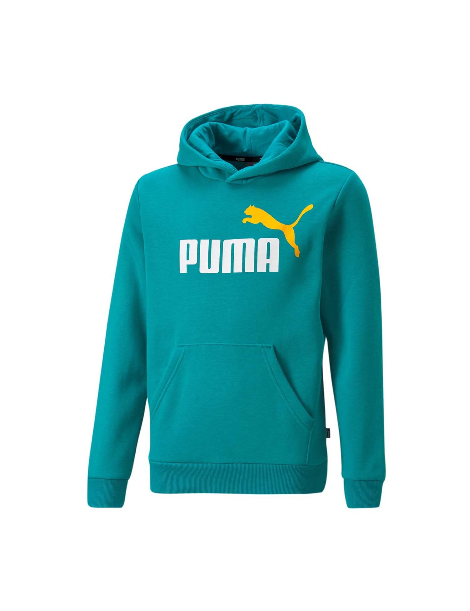 Felpe Verde Puma