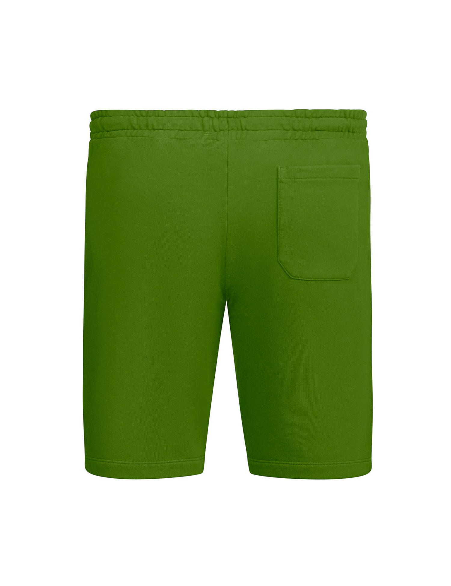 Bermuda Verde Invicta